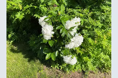 6223 Petre St, Duluth, MN 55807 - Photo 31