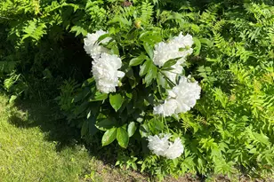 6223 Petre St, Duluth, MN 55807 - Photo 31