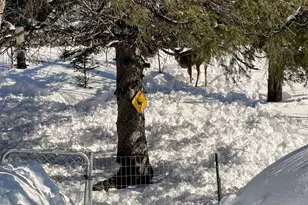 22 Hays Creek, Silver Bay, MN 55614 - Photo 31