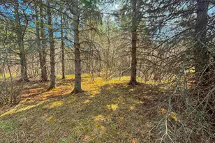 864Xx Lenawee Rd, Herbster, WI 54844 - Photo 9