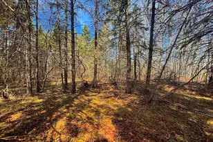 864Xx Lenawee Rd, Herbster, WI 54844 - Photo 11