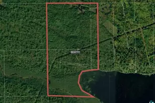 8442 Hwy 24, Cook, MN 55723 - Photo 5