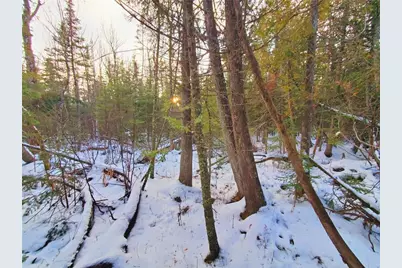 Xx10 Lavaque Rd, Duluth, MN 55802 - Photo 3