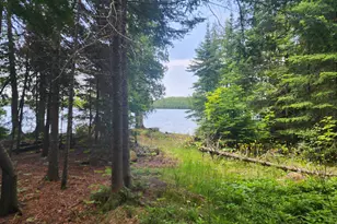 192 W Deeryard Lake Rd, Lutsen, MN 55612 - Photo 55