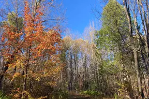 192 W Deeryard Lake Rd, Lutsen Township, MN 55612 - Photo 61