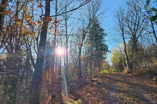 192 W Deeryard Lake Rd, Lutsen Township, MN 55612 - Photo 69