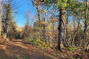 192 W Deeryard Lake Rd, Lutsen Township, MN 55612 - Photo 67