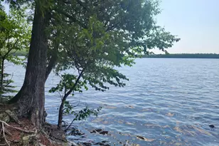 192 W Deeryard Lake Rd, Lutsen, MN 55612 - Photo 59