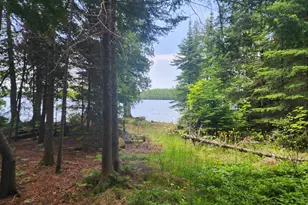 192 W Deeryard Lake Rd, Lutsen Township, MN 55612 - Photo 51