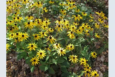 1627 W 5th St, Grand Marais, MN 55604 - Photo 57