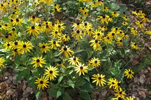 1627 W 5th St, Grand Marais, MN 55604 - Photo 57