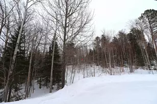 22715 Ash St, Cornucopia, WI 54827 - Photo 49