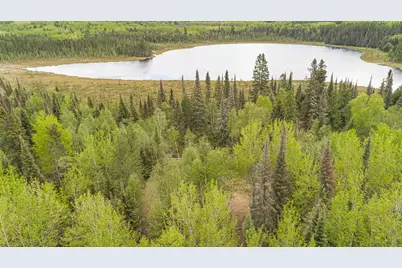 Tbd Victor Lake Rd, Isabella, MN 55607 - Photo 31