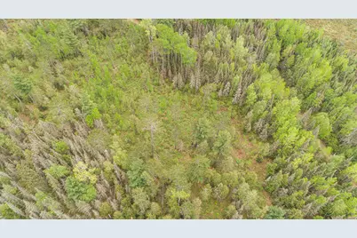 Tbd Victor Lake Rd, Isabella, MN 55607 - Photo 27