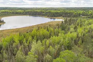Tbd Victor Lake Rd, Isabella, MN 55607 - Photo 1