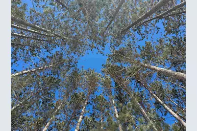 Lot 2 Jenny Ln, Hayward, WI 54843 - Photo 13