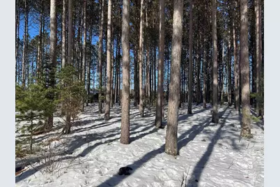 Lot 2 Jenny Ln, Hayward, WI 54843 - Photo 11