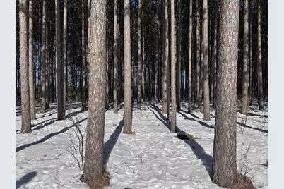 Lot 2 Jenny Ln, Hayward, WI 54843 - Photo 9