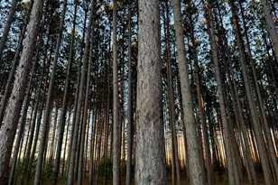 Lot 2 Jenny Ln, Hayward, WI 54843 - Photo 1