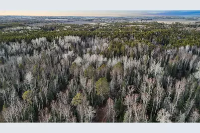Tbd Arthur Lake, Babbitt, MN 55706 - Photo 17