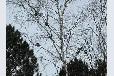 1820 Mary St, Beaver Bay, MN 55616 - Photo 51