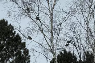 1820 Mary St, Beaver Bay, MN 55616 - Photo 51