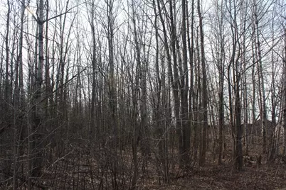 50Xx S Maple Dr, Poplar, WI 54864 - Photo 3