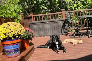 2223 Leonard St, Duluth, MN 55811 - Photo 21