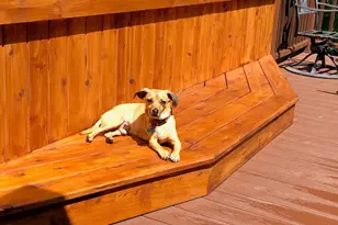 2223 Leonard St, Duluth, MN 55811 - Photo 19