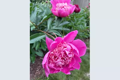 1910 Ponderosa Ave, Duluth, MN 55811 - Photo 59