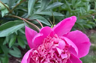 1910 Ponderosa Ave, Duluth, MN 55811 - Photo 59