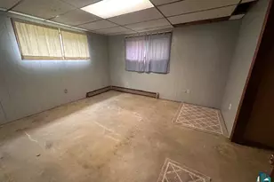 38 Locust Dr, Babbitt, MN 55706 - Photo 19