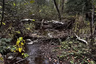 1774 Hwy 2, Two Harbors, MN 55616 - Photo 71