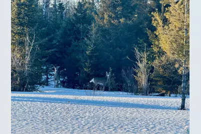 209Xx Highway 2, Mason, WI 54856 - Photo 3