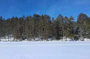 Xxxx N North Arm W, Cook, MN 55723 - Photo 1