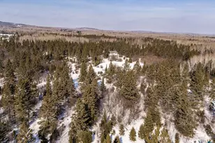 1838 Shilhon Rd, Duluth, MN 55804 - Photo 45