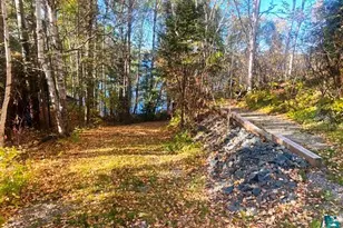 14649 Canadian Border Rd, Ely, MN 55731 - Photo 7