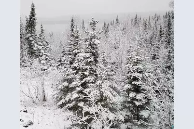 14632 Moose Lake Rd, Ely, MN 55731 - Photo 71