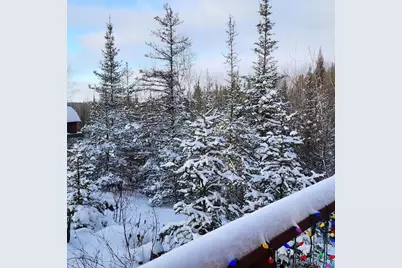 14632 Moose Lake Rd, Ely, MN 55731 - Photo 69