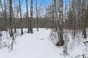 Tbd Voyageurs Trail, Biwabik, MN 55705 - Photo 1