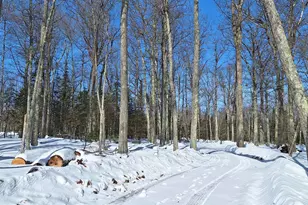 1117 South Shore Rd, La Pointe, WI 54850 - Photo 55