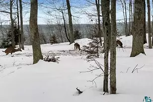 1117 South Shore Rd, La Pointe, WI 54850 - Photo 63