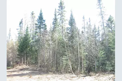 Lot 1 40 Acres County Rd L, South Range, WI 54874 - Photo 11
