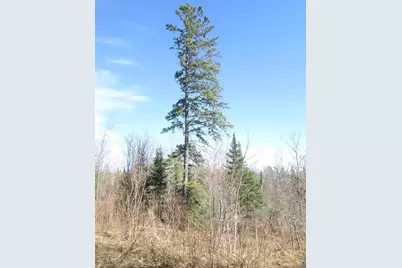 Lot 1 40 Acres County Rd L, South Range, WI 54874 - Photo 21