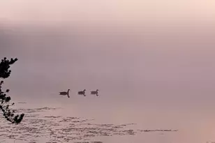 3420 Dewees Rd, Babbitt, MN 55706 - Photo 49