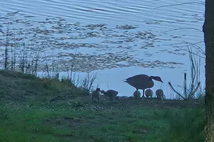 3420 Dewees Rd, Babbitt, MN 55706 - Photo 45