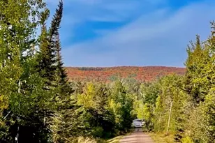 265 Mink Ranch, Lutsen, MN 55612 - Photo 31