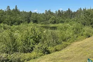 1383 Kelly Trail, Isabella, MN 55607 - Photo 37