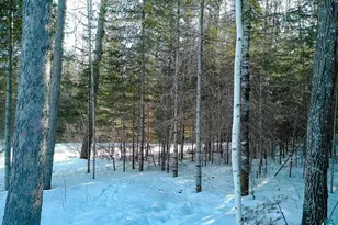 261 Caps Trail, Lutsen, MN 55612 - Photo 55