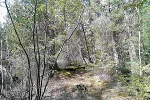 261 Caps Trail, Lutsen, MN 55612 - Photo 51